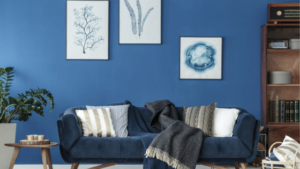 blue interior wall living room